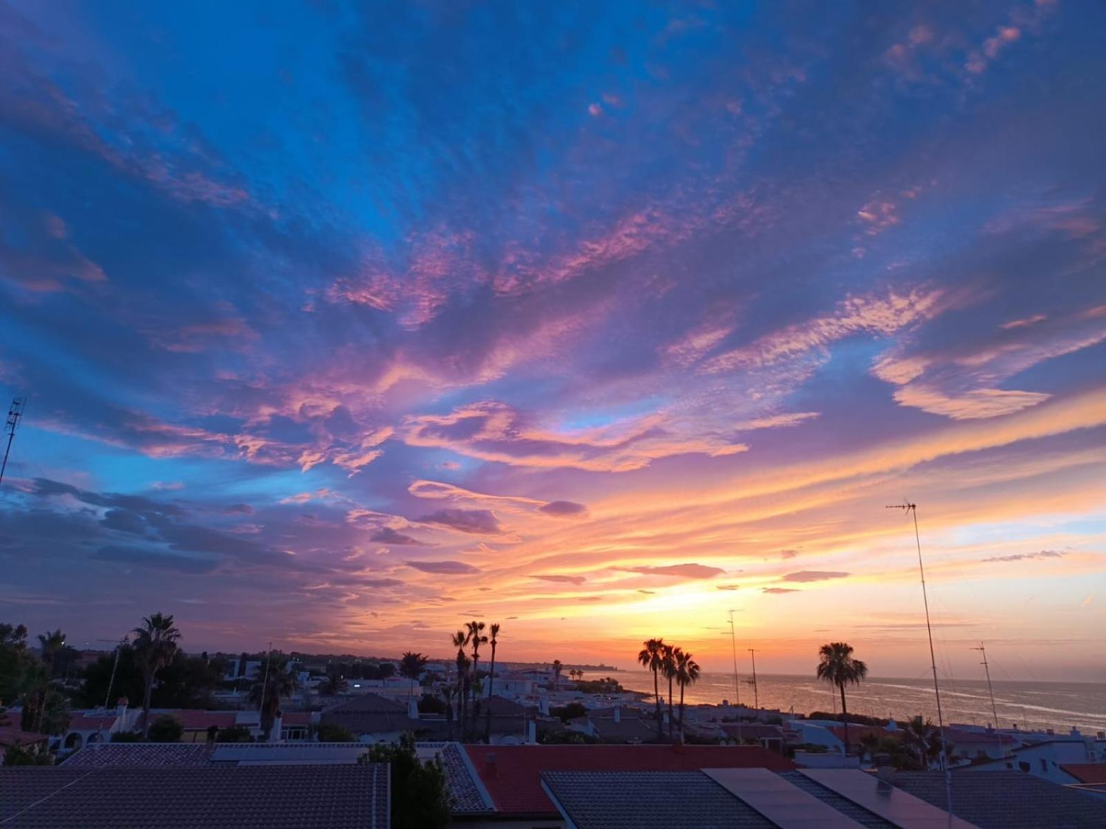 Luca'S House Bed and Breakfast Giovinazzo Εξωτερικό φωτογραφία